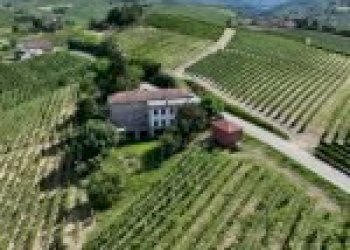 Azienda agricola Santo Stefano Belbo - foto 7