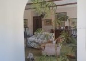Azienda agricola Santo Stefano Belbo - foto 9