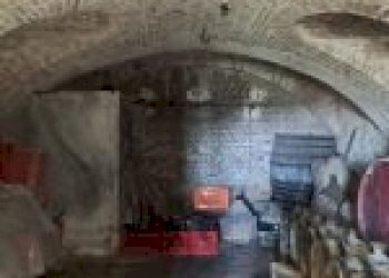 Azienda agricola Santo Stefano Belbo - foto 46