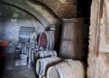 Azienda agricola Santo Stefano Belbo - foto 47