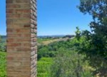 Azienda agricola Santo Stefano Belbo - foto 50