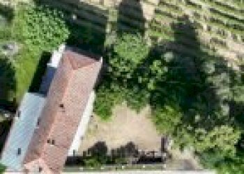 Azienda agricola Santo Stefano Belbo - foto 53