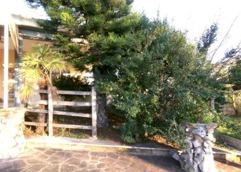 Giardino - Negozio via Ticino, Anzio - foto 8