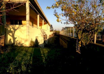 Giardino - Negozio via Ticino, Anzio - foto 9