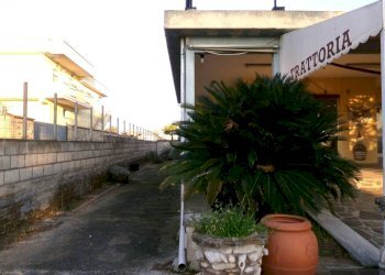 Giardino - Negozio via Ticino, Anzio - foto 11