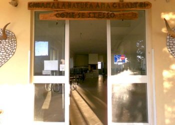 Interno non residenziale - Negozio via Ticino, Anzio - foto 16