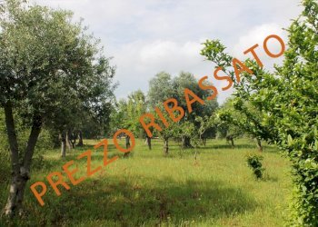 stringa ribassato.jpg - Terreno agricolo Monopoli - foto 1