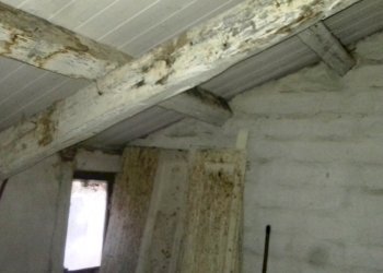 20171201_160858.jpg - Appartamento Mura Occidentali 1, Jesi - foto 5