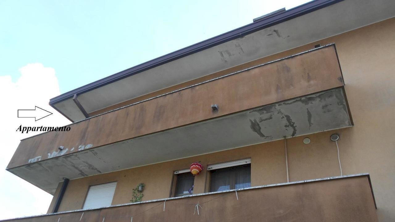 1598618_c_documento_con_foto-2.jpg - Appartamento via san benedetto 43, Maserà di Padova - foto 2