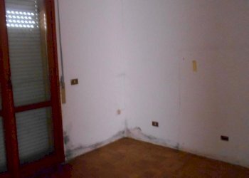 1598618_c_documento_con_foto-4.jpg - Appartamento via san benedetto 43, Maserà di Padova - foto 4