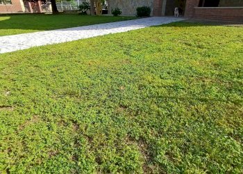 Villa Bifamiliare Vigolzone - foto 34