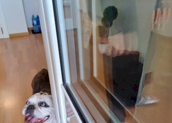 Villa Bifamiliare Vigolzone - foto 68