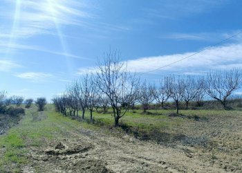 Rustico Via Valdrocco, Castelnuovo Don Bosco - foto 4