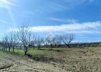 Rustico Via Valdrocco, Castelnuovo Don Bosco - foto 19