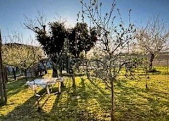 IMG_5825.jpg - Villa Canaro - photo 8