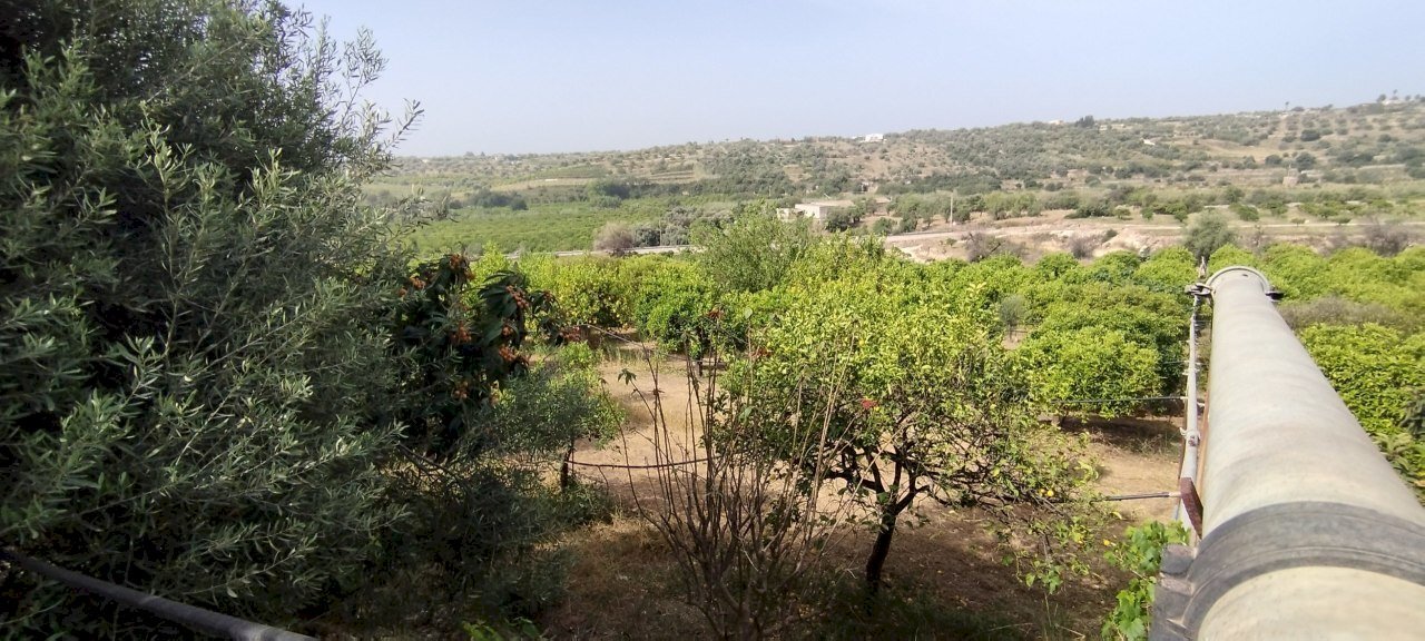 IMG_20240521_092446.jpg - Terreno agricolo Siracusa - foto 1