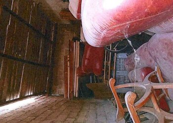 f9.jpg - Appartamento via 20 settembre 639, Solesino - foto 8