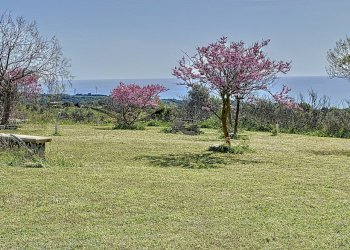 7.jpg - Casa indipendente Civitavecchia - foto 7