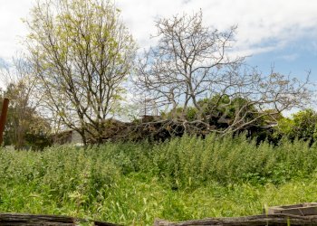 Terreno Viagrande (8).jpg - Terreno edificabile Via dei Belfiore 4, Valverde - foto 9