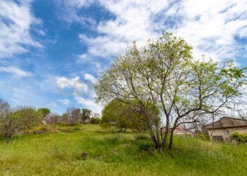 Terreno Viagrande (11).jpg - Terreno edificabile Via dei Belfiore 4, Valverde - foto 11