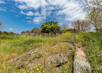Terreno Viagrande (13).jpg - Terreno edificabile Via dei Belfiore 4, Valverde - foto 13