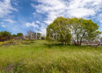 Terreno Viagrande (16).jpg - Terreno edificabile Via dei Belfiore 4, Valverde - foto 16