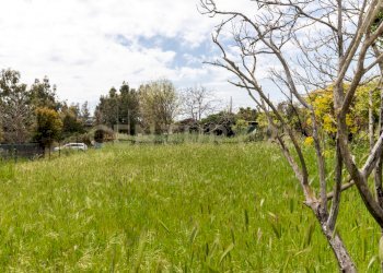 Terreno Viagrande (19).jpg - Terreno edificabile Via dei Belfiore 4, Valverde - foto 19