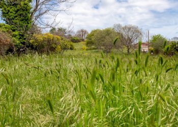 Terreno Viagrande (25).jpg - Terreno edificabile Via dei Belfiore 4, Valverde - foto 25