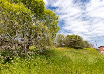 Terreno Viagrande (27).jpg - Terreno edificabile Via dei Belfiore 4, Valverde - foto 27