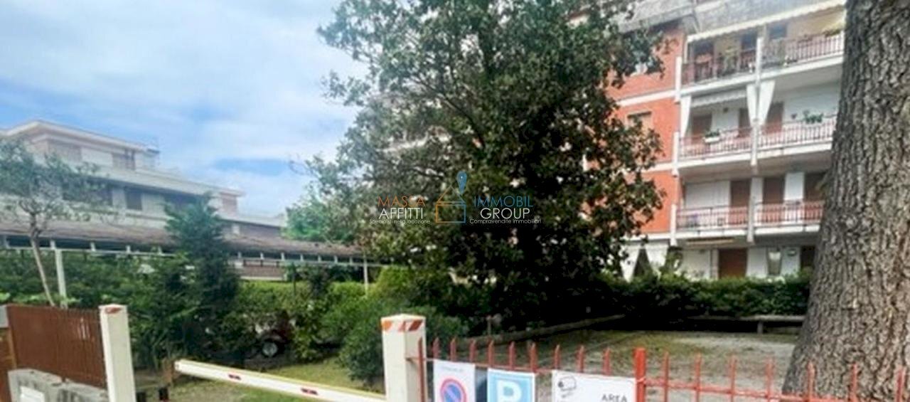 1268030-gexsvg55vz0.jpg - Magazzino Via Montecatini 3, Massa - foto 2