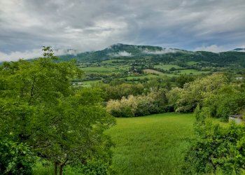 Rustic Travo - photo 1