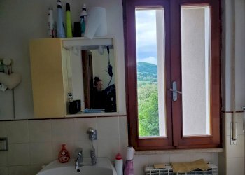 Rustic Travo - photo 5