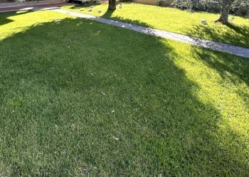 Appartamento Montelupo Fiorentino - foto 4