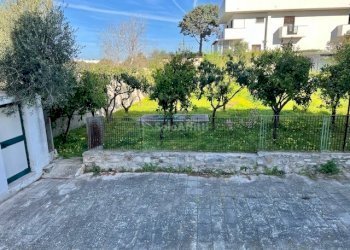 IMG_7526.jpg - Appartamento Strada Madonna della Stella 1, Bari - foto 12