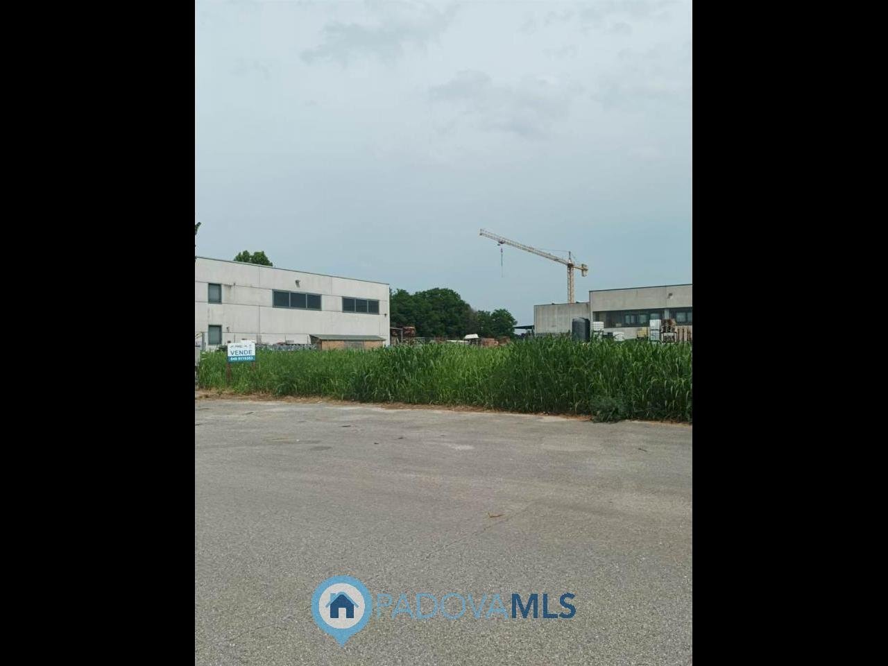 foto_2.jpg - Terreno edificabile Via Fossetta, Terrassa Padovana - foto 3