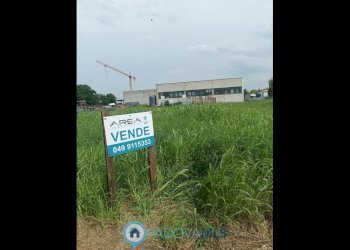 foto_1.jpg - Terreno edificabile Via Fossetta, Terrassa Padovana - foto 1