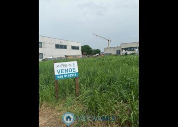 foto_3.jpg - Terreno edificabile Via Fossetta, Terrassa Padovana - foto 4