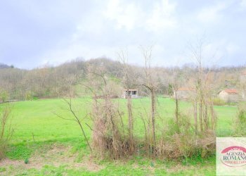 Rif 1514(Copy38).jpg - Porzione di casa SP542 24, Giusvalla - foto 11