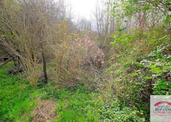 Rif 1514.jpg - Porzione di casa SP542 24, Giusvalla - foto 23