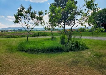 Casa Colonica Gazzola - foto 7