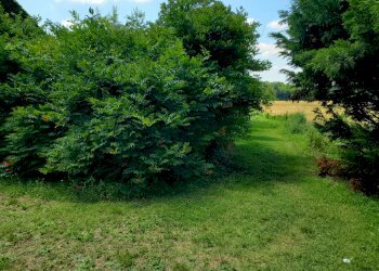 Casa Colonica Gazzola - foto 43