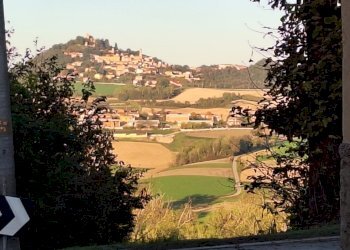 Cascina frazione Scandeluzza, Montiglio Monferrato - foto 27