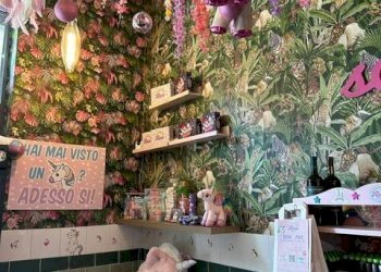 Commercial Activity Via Caracciolo, Roma (neighborhood Trionfale) - photo 3