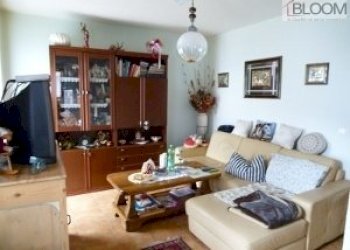 Casa indipendente via Padova, Calalzo di Cadore - foto 3