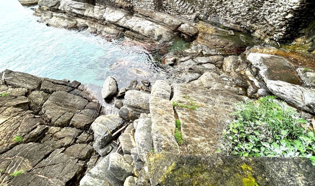 scogliera privata - Villa via Romagneno, Recco - photo 3