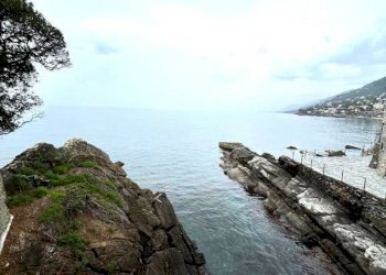 vista scogliera - Villa via Romagneno, Recco - foto 11