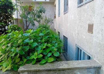 3 - Laboratorio via De Sanctis, Milano - foto 5