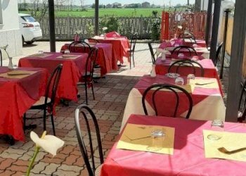 Giardino - Ristorante strada Piobesi, Carignano - foto 2