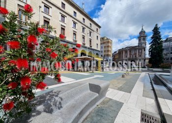 piazza - Bar Tavola Calda - Fredda piazza Monte Grappa, 6, Varese - foto 26