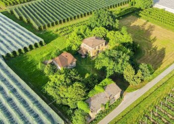 vista - Rustico via Campazzo, 15, Faenza - foto 6